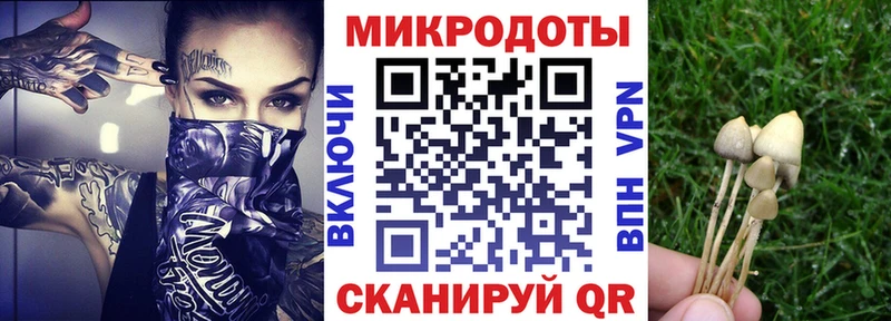 Псилоцибиновые грибы Magic Shrooms  купить   Бирюсинск 